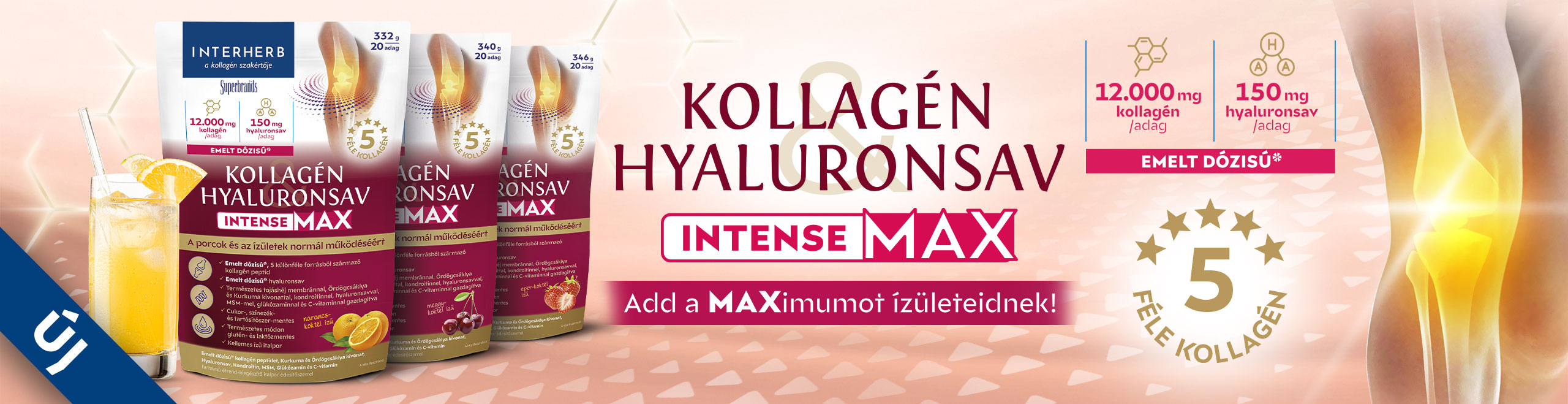 intense-max-banner-UJ